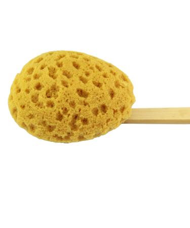 Long Handle Shower Body Brush with Sea Sponge - Gentle Exfoliating Bath Scrubber - Buy Online on GoSupps.com
