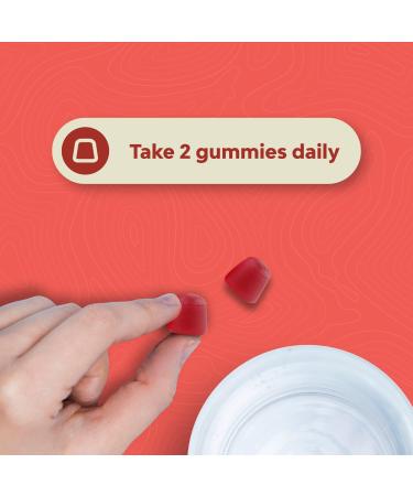 Biotin Gummies for Hair Growth - Hair, Skin, and Nails Vitamins for Women and Men - 5000mcg Biotin Hair Gummies with Pantothenic Acid - Buy Online on GoSupps.com