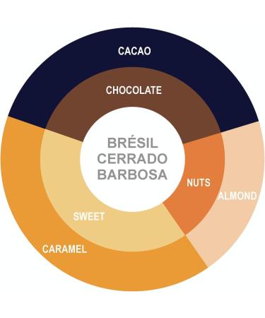 Brazil Cerrado Barbosa Coffee - Medium Roast - Espresso Blend - Whole Beans - 2 kg- Br lerie du Quai and Design Br sil Cerrado Barbosa 2 kg - Buy Online on GoSupps.com