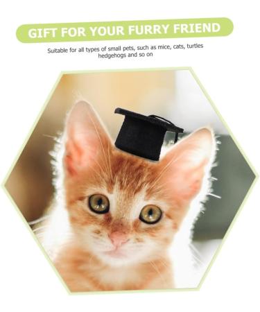 Beavorty 2-Part Set Elastic Doctor Cap & Bachelor Hat for Pets | Mini Closing Cap & Final Accessories for Dogs - Buy Online on GoSupps.com