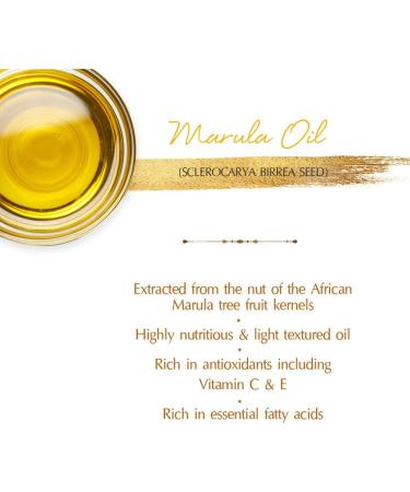 Schwarzkopf SCH397 Marula Oil Ultimate Finishing Oil 100 ml - Pack of 2 - Buy Online on GoSupps.com