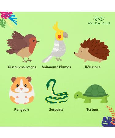 Dried Meal Worms - 1.2 kg 10 ml of Treats - Food for Fish Wild Birds Turtles Hedgehogs Rodents and Reptiles  - Buy Online on GoSupps.com