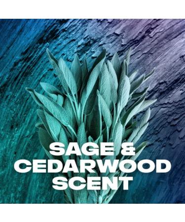 Axe Apollo Antiperspirant & Deodorant - 4hr Dry, 2.7 oz (76 g) - Buy Online on GoSupps.com