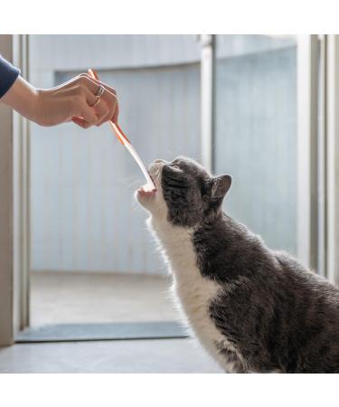 fanelod Pet Toothpaste. Pet Teeth Cleaning Paste with Brush Pet Care Finger Toothbrush Dog and Cat Oral Cleaning Tool. Teeth Cleaning Kit for Cats and Dogs
