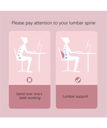 2-in-1 Neck & Back Extensor - Posture Correction & Pain Relief Pillow - Buy Online on GoSupps.com