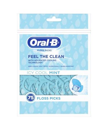 Oral-B Complete ICY Mint Flavored Floss Picks (75 Picks)