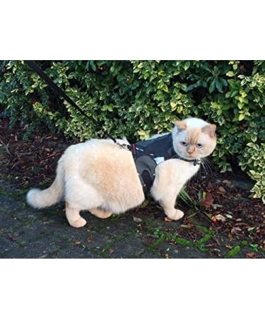 Mynwood Cat Jacket/Harness Arctic Combat Adult Cat - Buy Online on GoSupps.com