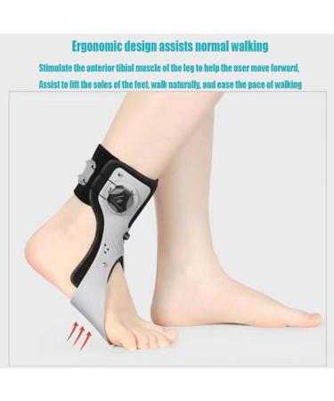 Buy Drop Orthosis Ankle Support for Hemiplegia - XL Left Foot Stabilizer for Stroke Recovery - Buy Online on GoSupps.com