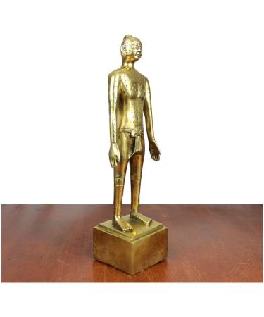 Human Acupuncture Pattern - Pure Copper Acupuncture Figurine Human Body Acupuncture Body Chinese Medicine Acupuncture for Model Studio Medical erbrist  - Buy Online on GoSupps.com