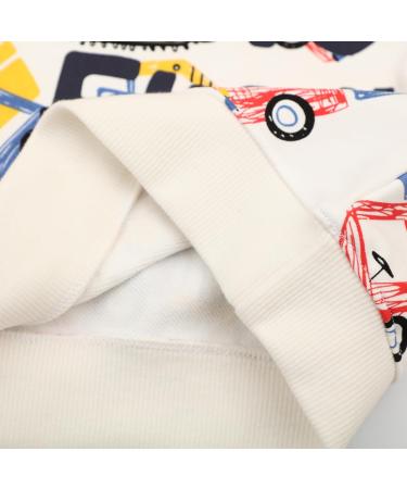 Kids Dinosaur Sweatshirt | Long Sleeve Cotton Pullover | Boys/Girls Casual Top | Baby/Toddler Clothes 2-3 Years - Buy Online on GoSupps.com