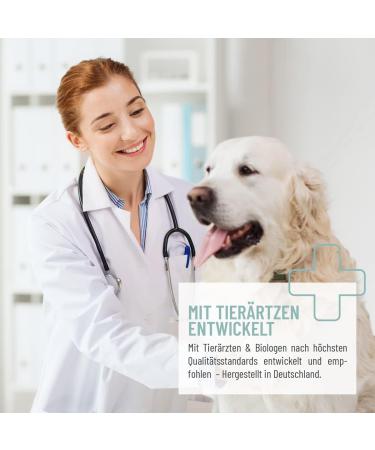 Reavet 4in1 Complete Dog Vitamins 250g | Natural All-Round Care for Joints Immunity Skin & Fur - Buy Online on GoSupps.com