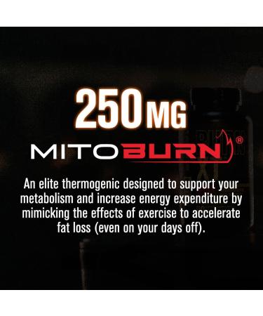 Jacked Factory Burn-XT Clinically Studied Fat Burner & Weight Loss Supplement (120 Capsules) & Burn XT Max High-Performance Fat Burner & Appetite Suppresant (90 Capsules) - Buy Online on GoSupps.com