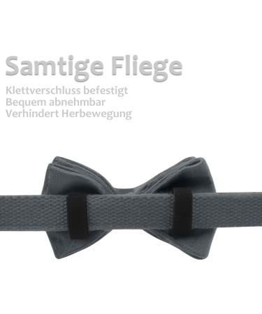 Shop Asvin XL Gray Velvety Dog Collar - Soft Comfortable & Removable Flying Design for Weddings Birthdays & Parties - Multi-Color Options Available | International Shipping - Buy Online on GoSupps.com