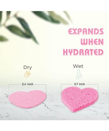 60-Count Cellulose Facial Sponges for Cleansing & Exfoliation | Natural Spa Sponges for Makeup Removal | Heart Shape Reusable Sponges - Buy Online on GoSupps.com