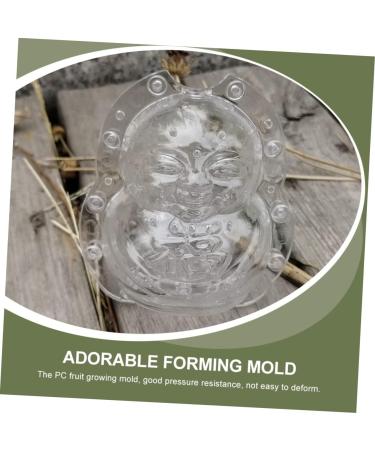 Anneome 2pcs Vegetable Shaping Mold Fruit Cucumber Shaping Molds Adorable Melon Mold Watermelon Pumpkin - Buy Online on GoSupps.com