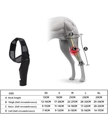 Dog Leg Brace Elbow Brace Protector Pads for Small Dogs and Cats Support Elbow Hygroma Shoulder Dysplasia Osteoarthritis Elbow Calluses and Shoulder Dislocation(S) - Buy Online on GoSupps.com
