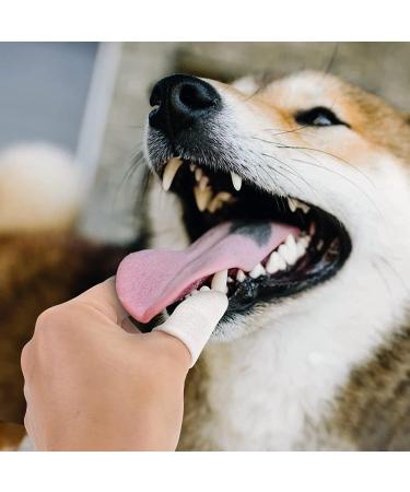 Molain 6-Piece Dog Toothbrush Set - 360 Nylon Finger Brush for Dogs & Cats | Full Surround Bristle for Easy Tongue & Teeth Cleaning (White) - Buy Online on GoSupps.com
