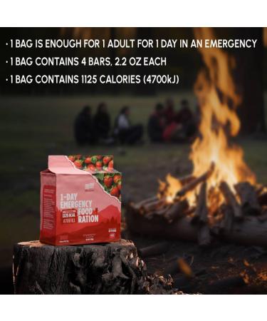 Emergency Food Supply - Strawberry Survival Ration - 20 Years Shelf Life - 1 Day Strawberry 1-Day - Buy Online on GoSupps.com