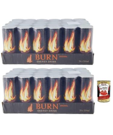 Italian Gourmet E.R. Burn Energy Drink Original Carbonated Energy Drinks with Taurine Caffeine Guarana and B Vitamins 48 x 250 ml Disposable Box + Italian Gourmet Polpa di Pomodoro 400 g