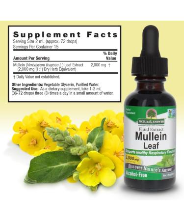 Fluid extract of black mullein leaf 2000 mg 30 ml - Buy Online on GoSupps.com