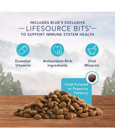 Blue Buffalo Wilderness High Protein Grain Free Natural Adult Dry Dog Food Salmon 10.8 Kg Bag - Large Bag Kibble Salmon High Protein Grain Free - Buy Online on GoSupps.com