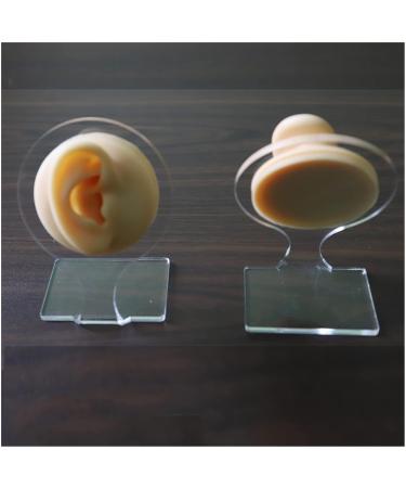 Silicone Ear Model Practice Piercing Tools Body Jewelry Ear Stud Tool Simulation Display Props for Jewelry Display Teaching Tool Right (Left) - Buy Online on GoSupps.com