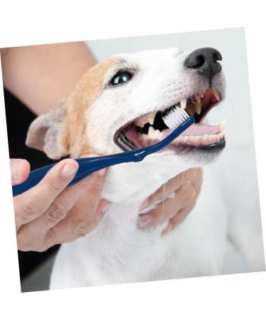 BESPORTBLE 3pcs Pet Double Toothbrush Finger Dog Toothbrush Cat Toothpaste Dog Teeth Cleaning Tools Pet Oral Pp 1 count (Pack of 1) Blue - Buy Online on GoSupps.com