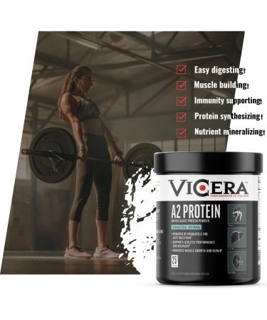 A2 Protein Powder Vanilla Creme 25 G Protein per Serving Organic A2/A2 Whey Casein Blend with Probiotics and Celtic Sea Salt Gluten Free Workout Supplement Non GMO 20 Servings 27.4 Oz Vanilla 1.71 Pound (Pack of 1) - Buy Online on GoSupps.com