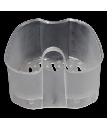 2 Pack Light Blue Denture Storage Box for Stain Removal - Ideal for Comfortable & Safe Denture Care | Buy Now - Buy Online on GoSupps.com