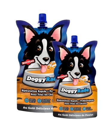 Drinking water for dogs 500 ml DoggyRade Isotonic refreshing and energizing - Buy Online on GoSupps.com
