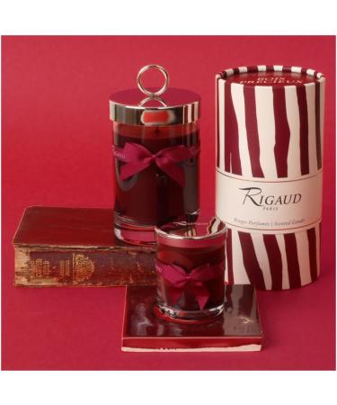 Rigaud BGM287754 Large Bois Pr cieux Candle - Premium Scented Candle for International Shipping - Buy Online on GoSupps.com