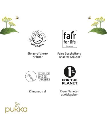 Pukka Organic Tea Winter Joy - Limited Edition | Ginger Cinnamon Cloves & Orange | Pack of 4 (80 Bags) - Perfect for Contemplative Moments | International Shipping Available - Buy Online on GoSupps.com