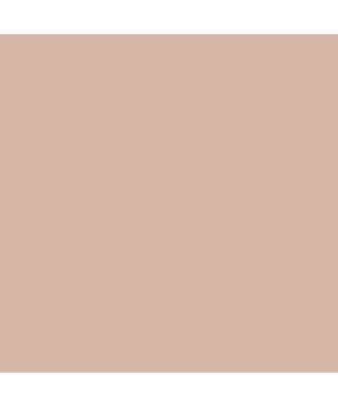 Neutrogena Matte Eye Shadow - Toasted Eggshell 0.1 oz - Buy Online on GoSupps.com