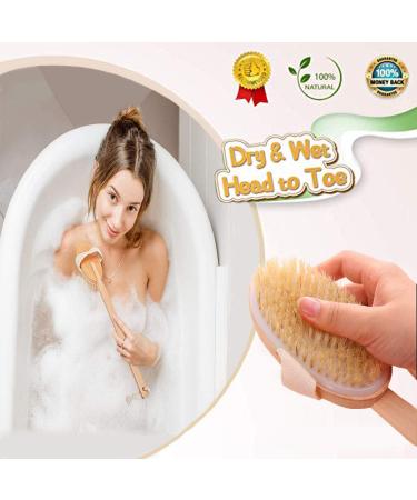 Long Handle Shower Exfoliator Brush - Natural Bristle Body Brush for Cellulite & Dry Skin - Detachable Handle - Buy Online on GoSupps.com
