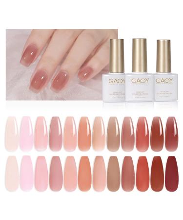 GAOY 15 Pcs Jelly Gel Nail Polish Kit, Sheer Nude Pink Colors Gel Polish Set with Glossy & Matte Top Coat and Base Coat for Nail Art DIY Manicure and Pedicure at Home Jelly Storm Set