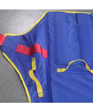 Liuli Jun Transfer-Still Capacitrust | Full Body Support Strap for Elderly & Disabled | Comfort Toilet Aid & Bed Mobility Support - Buy Online on GoSupps.com