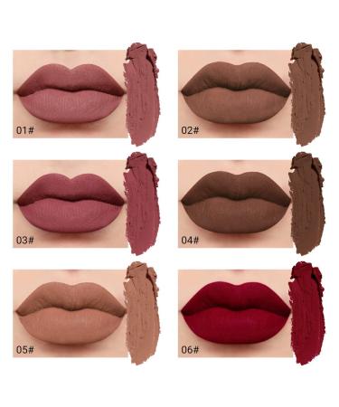 Evpct 6Pcs Silky Velvet Matte Liquid Lipstick Set for Women - Long Lasting 24 Hours Color Stay Lip Gloss in Brown, Nude, Pink, Mauve, Red & Maroon - Buy Online on GoSupps.com