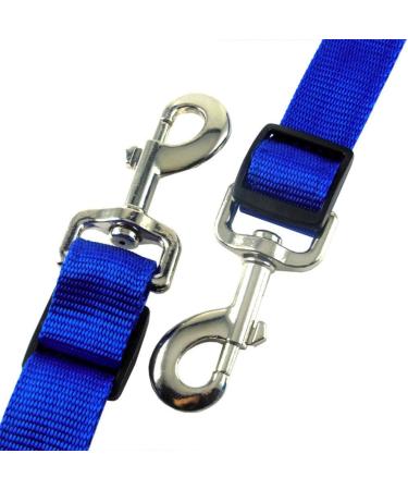 SGerste LED harness LED chest harness Horse harness with LED light Spot light Horse harness Horse chest strap for dark environment Outdoor And Equestrian (Blue) - Buy Online on GoSupps.com