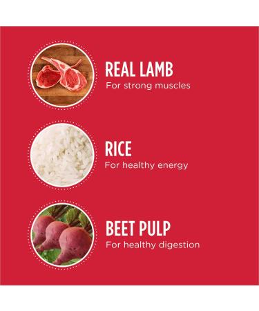 IAMS Proactive Health Minichunks Adult Dry Dog Food Lamb & Rice Recipe 6.80kg (15 LB) Bag 6.8 kg (Pack of 1) Dog Food - Buy Online on GoSupps.com