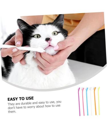 Housoutil 6pcs Dental Es Handle Manual Soft Toothpaste Dual The Cleaning Durable Large Long Household Chew - Buy Online on GoSupps.com