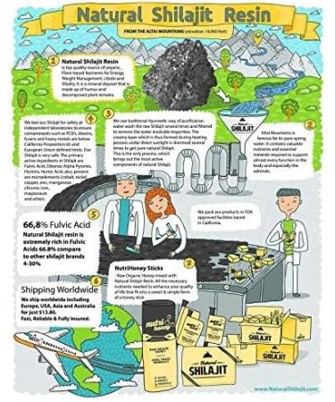 NATURAL SHILAJIT Resin 20G Shilajit Honey Sticks 30 Count Capsules 60 Count - Buy Online on GoSupps.com