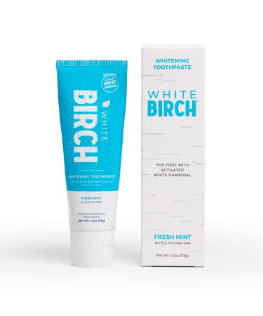 White Birch Activated White Charcoal Whitening Toothpaste- Professional Teeth Whitening Charcoal - Natural & Fluoride Free Oral Care (White Charcoal Toothpaste) White Charcoal Toothpaste (1 Pack)