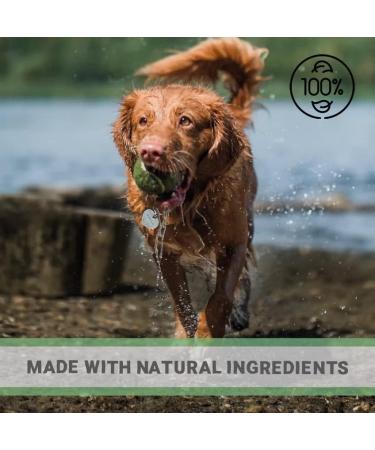 Pets Purest Wet Dog Deodorant Spray 300ml - 100% Natural Deodoriser Bad Smell Eliminator & Fragrance Free Cologne Perfume Spray for Pro Grooming - Buy Online on GoSupps.com