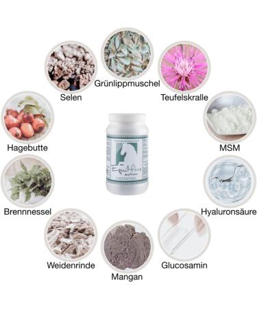 Equimove Set: Movement & Calm for Horses - 1.5kg Can | Ideal for Rest Periods & Motion Issues - Buy Online on GoSupps.com