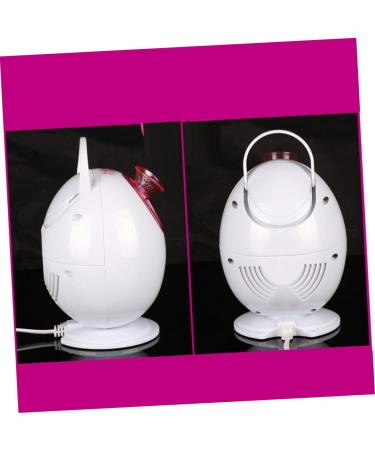 WOONEKY 1pc Face Steamer Sprayer Pore Cleaner Portable Humidifiers White and Face Steamer Egg Steamer - Buy Online on GoSupps.com