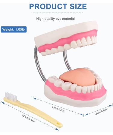 Mounw 6-Fold Enlarged Tongue-Mouth Model for Speech Therapy & Child Tooth Care - Includes Toothbrush | International Shipping Available - Buy Online on GoSupps.com