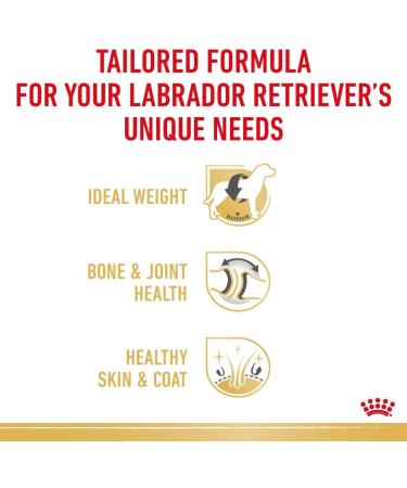 Royal Canin Labrador Retriever Adult in Gravy Wet Dog Food 140g (Pack of 40) - Buy Online on GoSupps.com