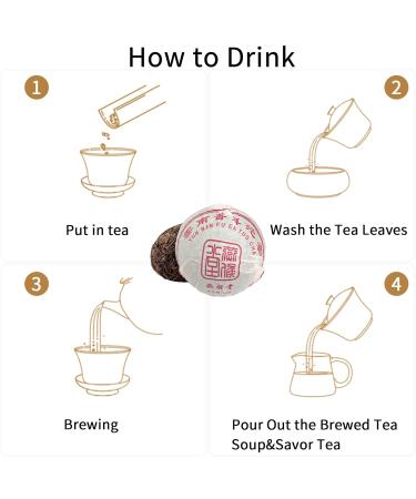 Yan Hou Tang 10-Year-Old Yunnan Puerh Tea | 100g Tuo Cha | Detox & Weight Loss | US FDA SGS Verified | Perfect Chinese Tea Gift - Buy Online on GoSupps.com