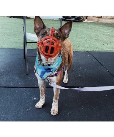 Breathable Dog Muzzle for All Sizes | Stop Biting Barking & Chewing | Ideal for Aggressive Dogs - GetaWay Solids Red - Buy Online on GoSupps.com