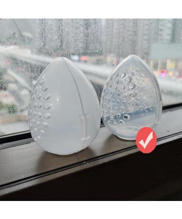 Qyrugcxs Sponge Storage Box Makeup Powder Puff Empty Egg Shaped Transparent Powder Puff Makeup Storage Box - Buy Online on GoSupps.com
